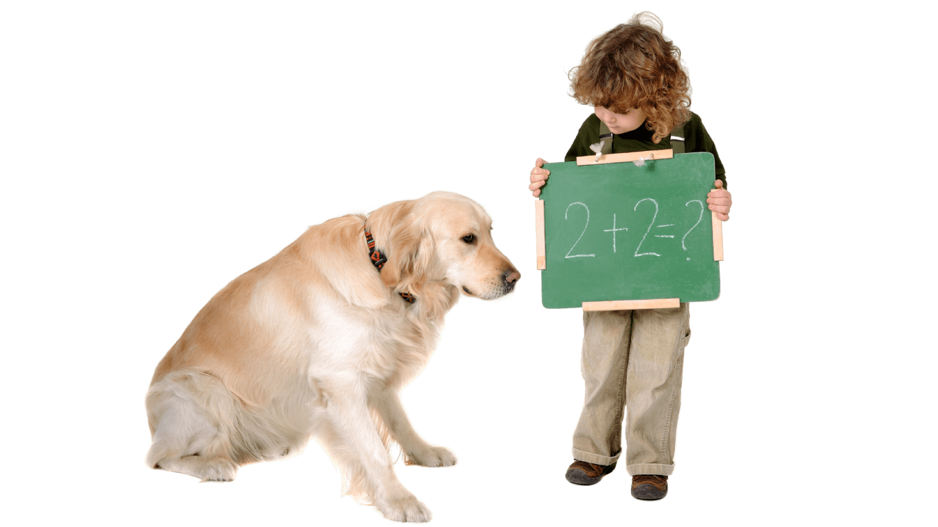 Enfant éducant un chien
