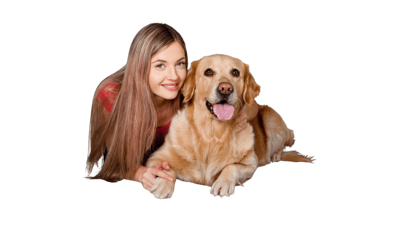 Enfant éducant un chien