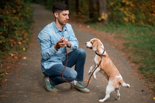 Homme acroupis à coté de son chien